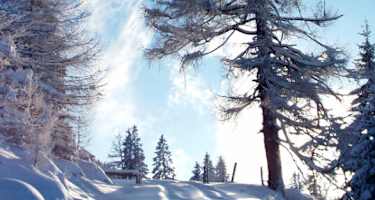 Winterlandschaft 