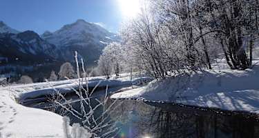 Winterwonderland im Naturschutzgebiet Rohr