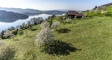 Sanfte, grüne Hänge über dem Zugersee
