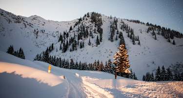 Skitour auf den Laubkogel