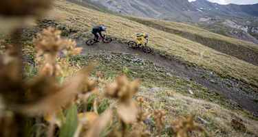 Tutti Frutti Epic Tour