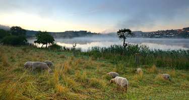Fernwanderweg Eifelsteig Etappe 11, rund um die Dauner Maare zum Dörfchen Schalkenmehren