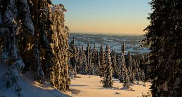 Das Dreisessel-Massiv in Niederbayern