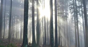 Herbststimmung im Bayerischen Wald