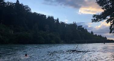 Kanutour auf der Aare