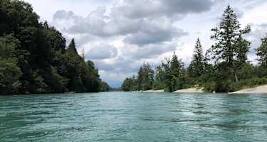 Kanutour auf der Aare