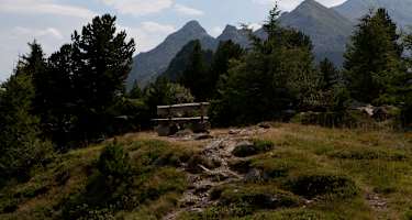 Etappe 13 - Zirbenweg - Patscherkofel