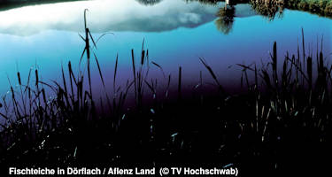 Kauch Teiche (Fischteiche)