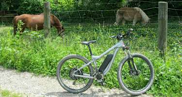 2 1/3 PS an der Rieglerhütte