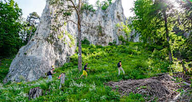 Eiszeitpfade - Eiszeitjägerpfad