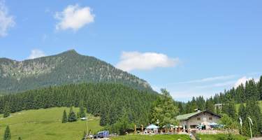 Wanderung zur Albert-Link-Hütte
