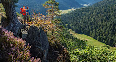 Bildsteinfelsen mit Ausblick ins Albtal