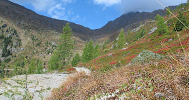 Blick zum Karnischen Kamm