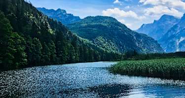 Am Almsee-Nordofer mit dem Zwölferkogel