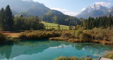 Naturreservat Zelenci