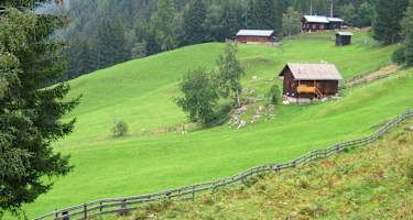 Auf den "Kreuterwiesen"