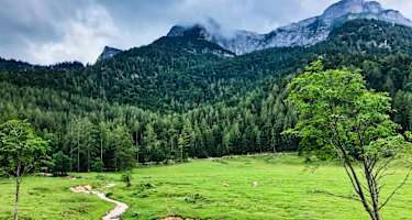 Am Fuße des Schambergs auf der Eisenaualm