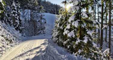 Verträumte Winterlandschaft am Hochkönig