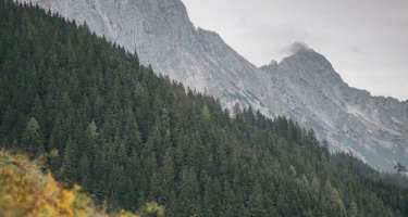 Ardning Alm und Haller Mauern