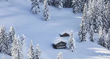 Die Armentara Wiesen im Winterkleid