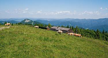 Blick nach Norden über die Jabornig-Hütte, die 150 Meter östlich des Reisalpen Schutzhauses liegt.