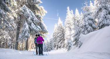 Auf dem Skiwanderweg Rennsteig