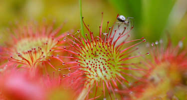 Auf den Monte Piottino