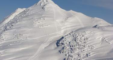 Blick vom Kornbichl in Richtung Sonnspitz