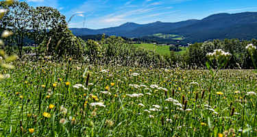 Aussicht auf die acht Tausender