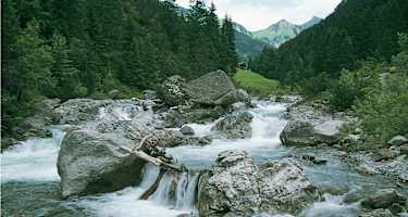 Wild rauscht das Wasser der Lutz um die riesigen Felsklötze.