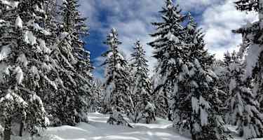Winterlandschaft Deutschnonsberg