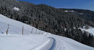 Beim Ploningerhof am höchsten Punkt angelangt, weiter dem Aussichtsweg folgend
