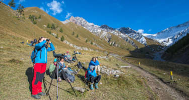 Beobachter der Hirschbrunft auf dem Rastplatz Val Mela in der Val Trupchun