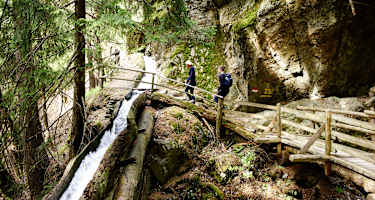 Berg- und Leitenwaal