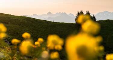Über den Fellhorngrat