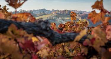 Herbst an der Weinstraße bei Leutschach