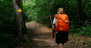Die dritte Etappe der Route 66 in Liechtenstein führt durch die Wälder und Dörfer Liechtensteins