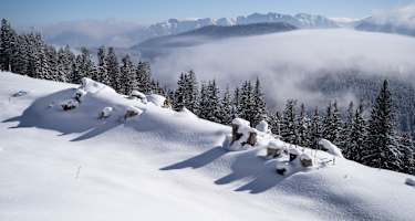 Von Bad Kohlgrub nach Oberammergau