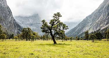 Der Ahornboden im Karwendel