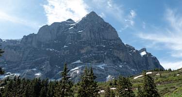 Das Wetterhorn in den Berner Alpen