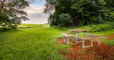 Bermatinger Waldwiesen