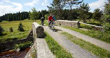 Am Neugrabenweg bei Pobershau Kühnhaide
