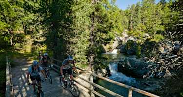 Am Berninabach bei Morteratsch