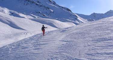 Blick auf das Auenfeld (von Norden)