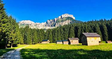 Blaa Alm mit dem Loser im Hintergrund