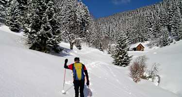 Idyllische Wiese am Beginn des Aufstiegs