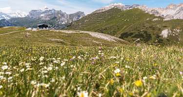 Der Blaser ist für seinen Blumenreichtum bekannt.