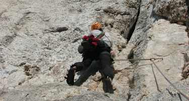 Blechmauernverschneidung