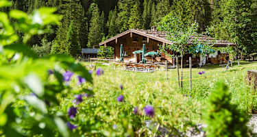 Blick auf die Schwarzachen Alm
