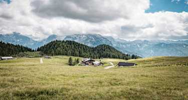 Blick auf die Gotzenalm